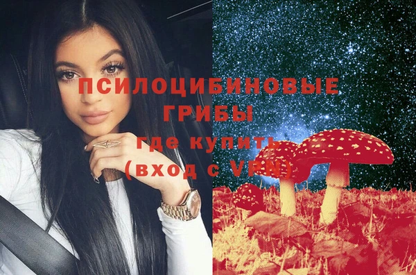 прущие грибы Арсеньев