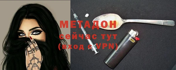 прущие грибы Арсеньев