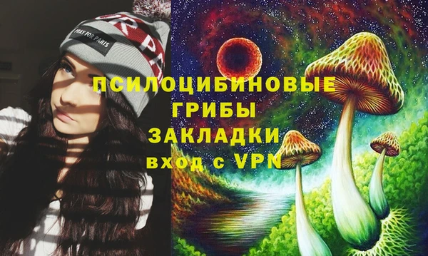 прущие грибы Арсеньев