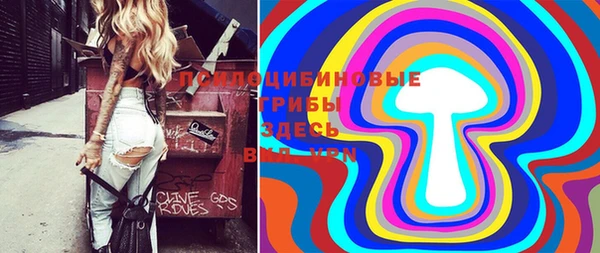 прущие грибы Арсеньев