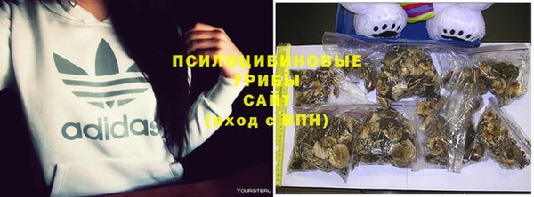прущие грибы Арсеньев