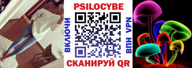 hydra ONION  купить  сайты  Сальск  Псилоцибиновые грибы прущие грибы 